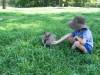 A kangaroo and a little boy