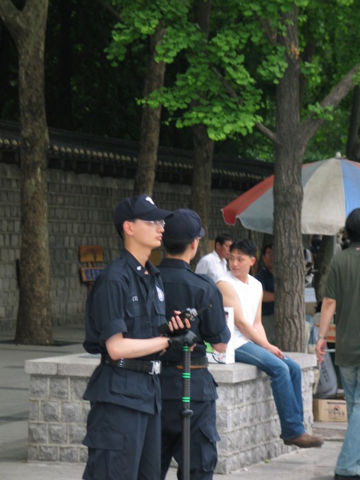Policemen in front of Deoksugung palace