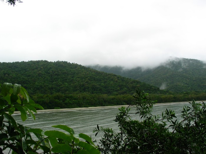 Cape Tribulation coast