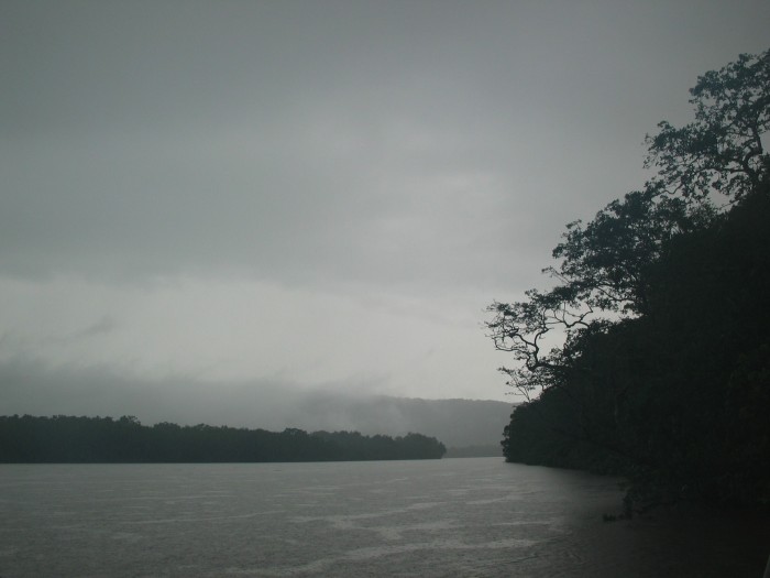 Daintree River