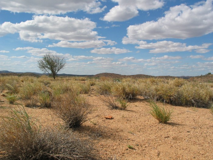 Panorama from Billy Goat Hill
