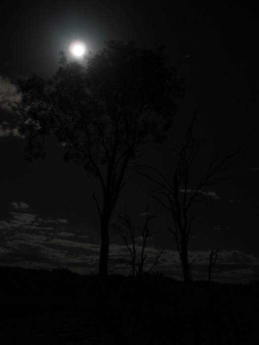 Night picture in the desert