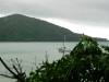 Cape Tribulation coast
