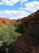 Watarrka National Park