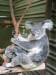 Koalas