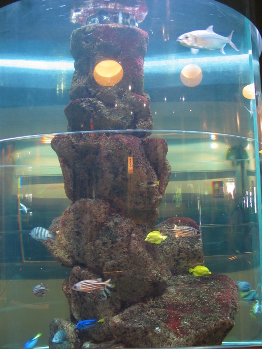 Underwater World in Sentosa